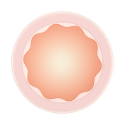 Molded Flower Apricot &mdash; MagSafe PopGrip image number 3