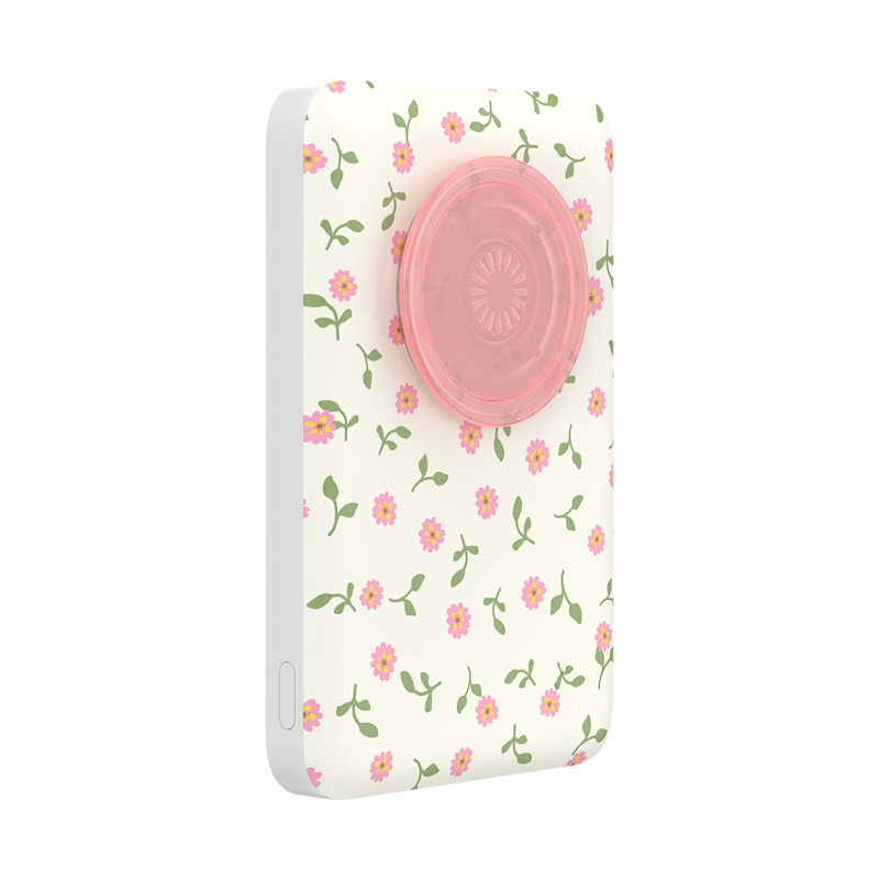 Dainty Prairie &mdash; MagSafe PowerPack image number 3