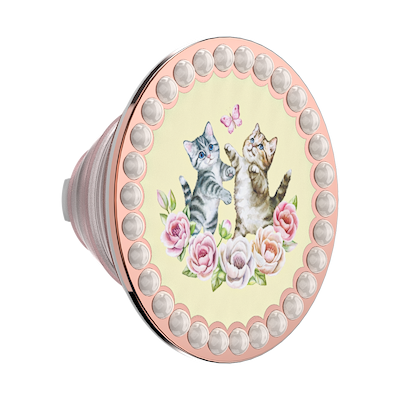 Kitty Cameo &mdash;  PopTop