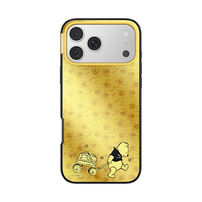 The Honey Division &mdash; iPhone 17 Pro Max MagSafe Case