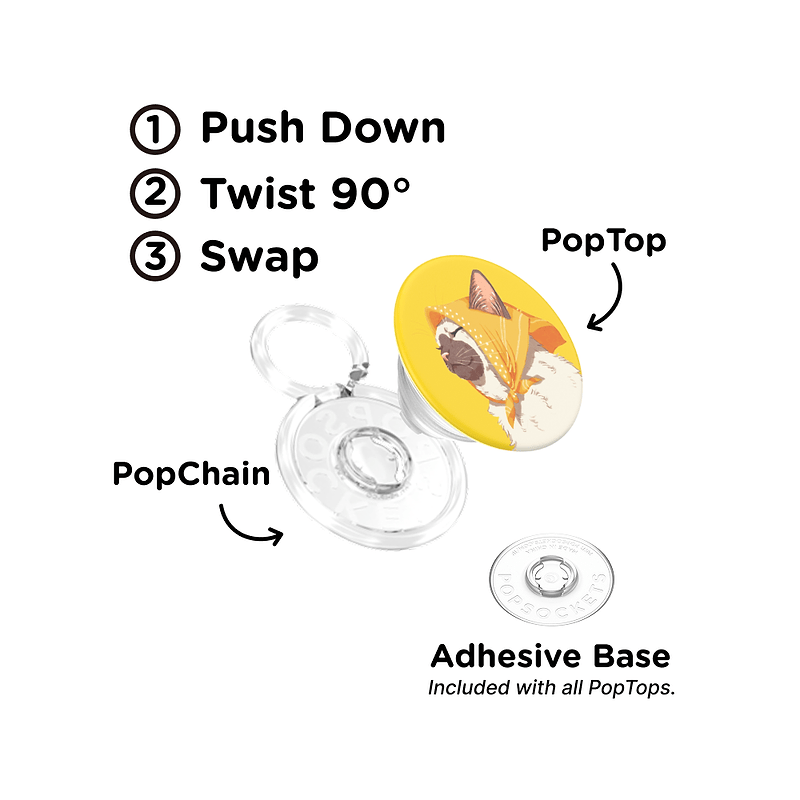 Oma Cat &mdash; PopTop image number 1