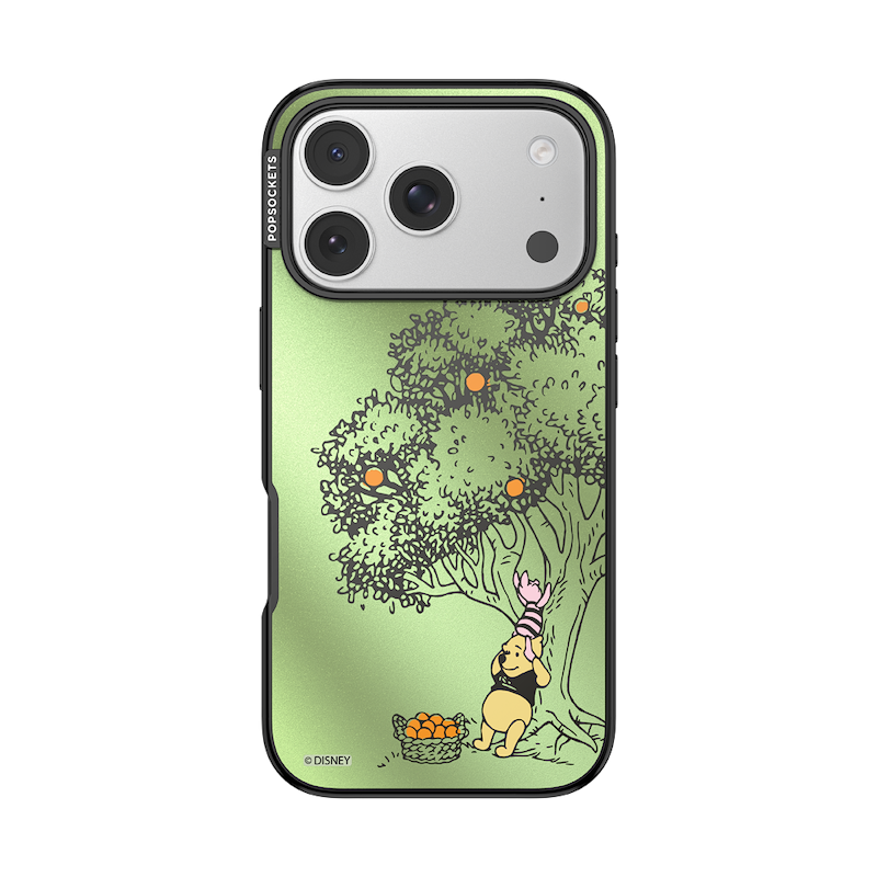 100 Acre Wood &mdash; iPhone 17 Pro MagSafe Case image number 0