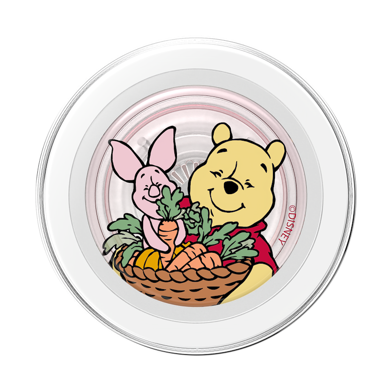 Harvest Friends &mdash; MagSafe PopGrip image number 1