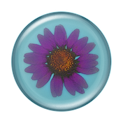 Pressed Flower Purple Daisy &mdash; PopTop image number 2