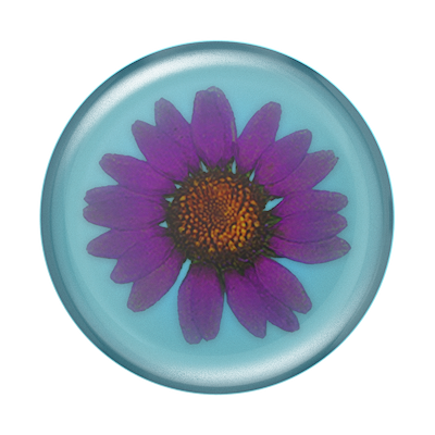 Secondary image for hover Pressed Flower Purple Daisy &mdash; PopTop