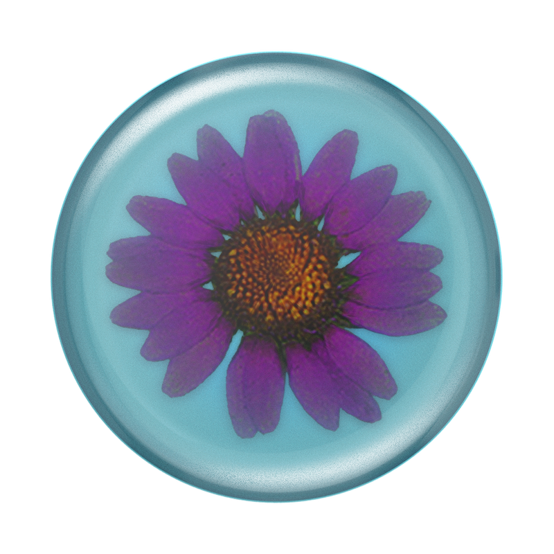 Pressed Flower Purple Daisy &mdash; PopTop image number 1