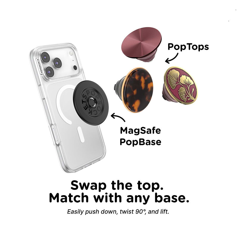 Tortoise &mdash; PopTop image number 2