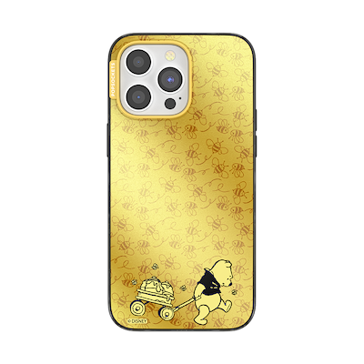 The Honey Division &mdash; iPhone 15 Pro Max MagSafe Case