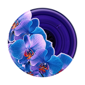 Translucent Dark Orchid &mdash; Adhesive PopGrip image number 2