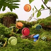 Orange Zest &mdash; MagSafe PopGrip image number 3