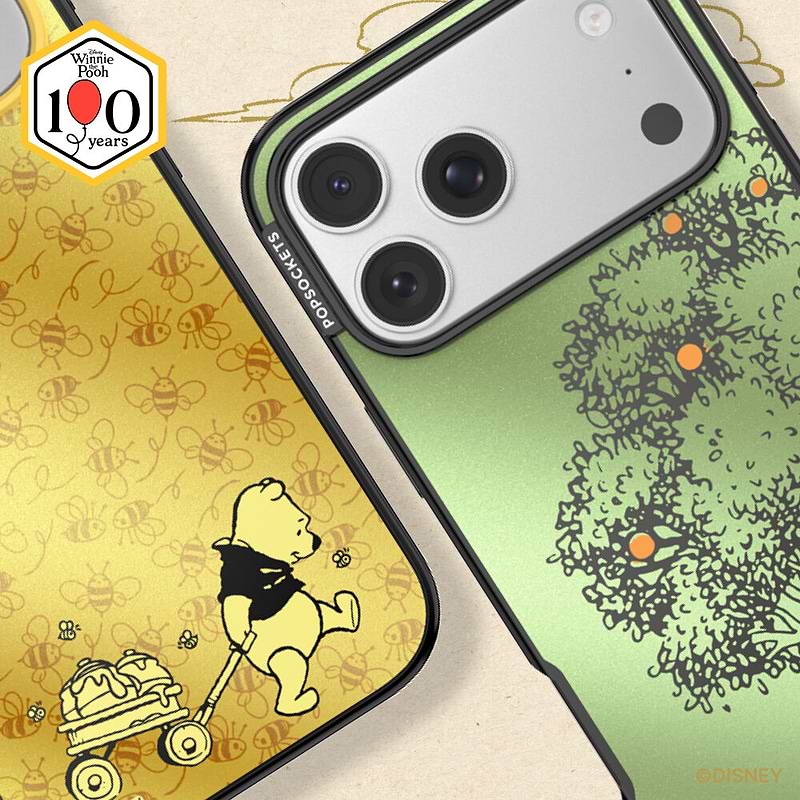 100 Acre Wood &mdash; iPhone 17 Pro Max MagSafe Case image number 2