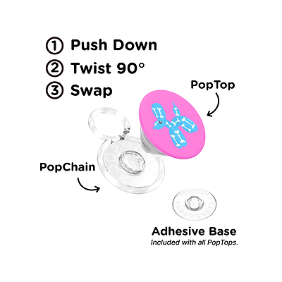 Secondary image for hover Balloon Dog X-ray &mdash; PopTop