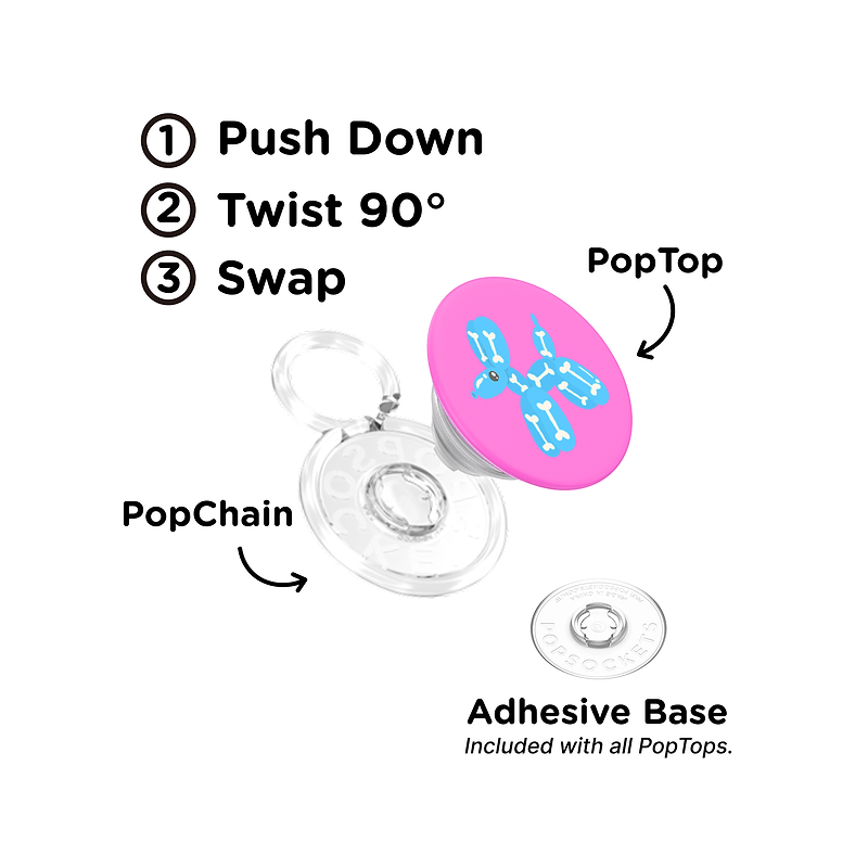 Balloon Dog X-ray &mdash; PopTop image number 1