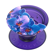 Translucent Dark Orchid &mdash; Adhesive PopGrip image number 1