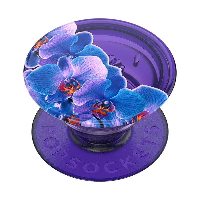 Translucent Dark Orchid &mdash; Adhesive PopGrip image number 0