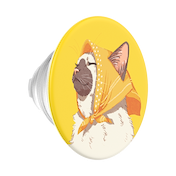 Oma Cat &mdash; PopTop image number 1