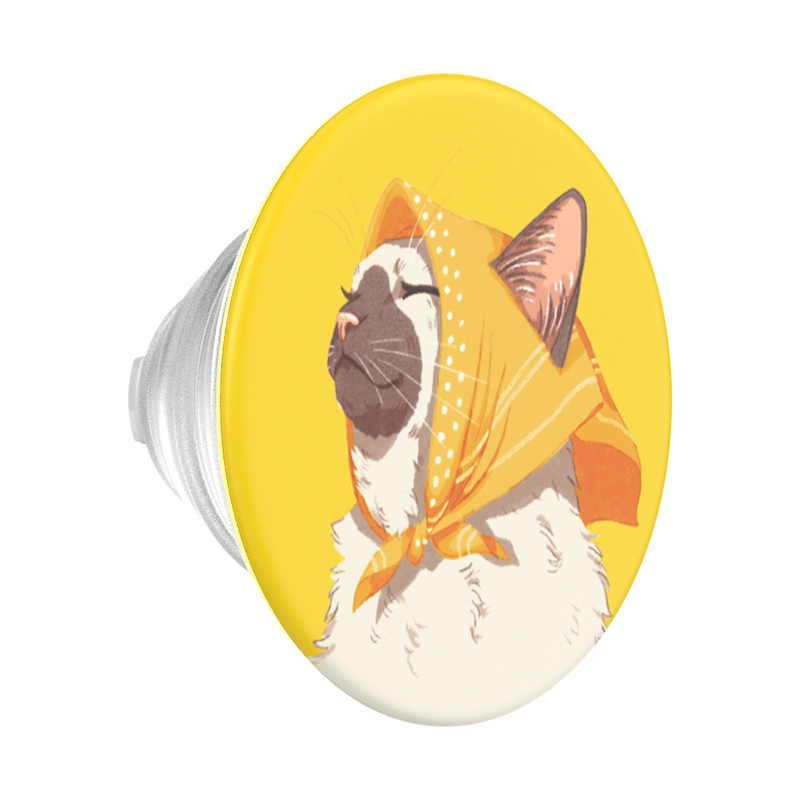 Oma Cat &mdash; PopTop image number 0