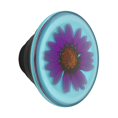 Pressed Flower Purple Daisy &mdash; PopTop