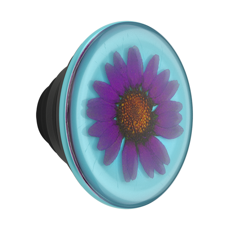 Pressed Flower Purple Daisy &mdash; PopTop image number 0