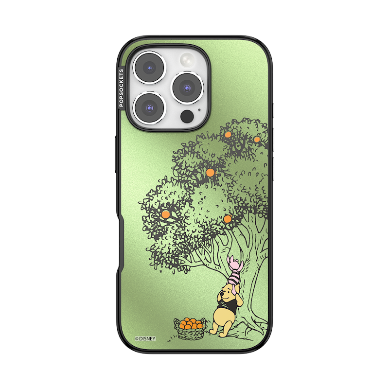 100 Acre Wood &mdash; iPhone 16 Pro MagSafe Case image number 0
