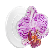 Lilio &mdash; MagSafe PopGrip image number 1