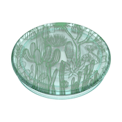 PlantCore Cacti &mdash; Adhesive PopGrip image number 3