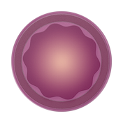 Molded Flower Red Wine &mdash; MagSafe PopGrip image number 2