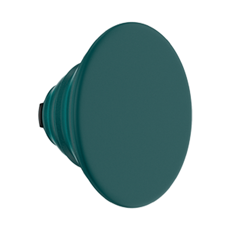 Fresh Pine — PopTop