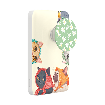 Nana Cats &mdash; MagSafe PowerPack
