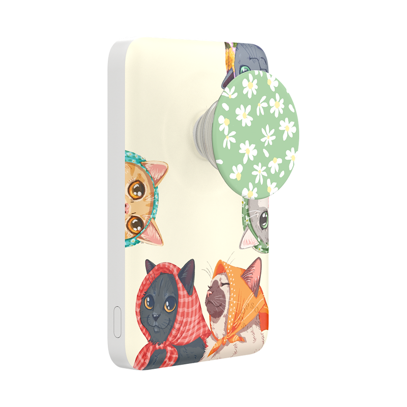 Nana Cats &mdash; MagSafe PowerPack image number 0