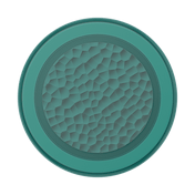 Enamel Hammered Fresh Pine &mdash; MagSafe PopGrip image number 2