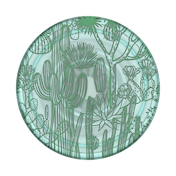 PlantCore Cacti &mdash; Adhesive PopGrip image number 2