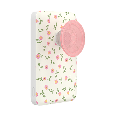 Dainty Prairie &mdash; MagSafe PowerPack