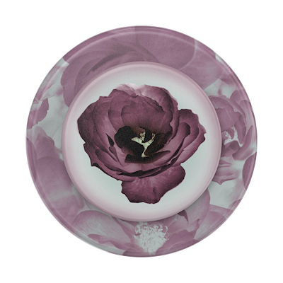 Secondary image for hover Mauve Reverie — MagSafe PopGrip