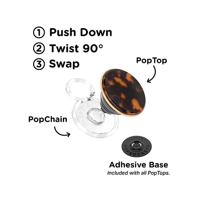 Secondary image for hover Tortoise &mdash; PopTop