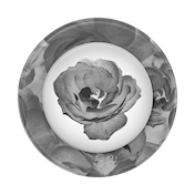 Dark Reverie &mdash; MagSafe PopGrip image number 2