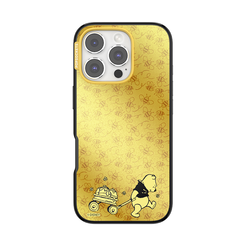 The Honey Division &mdash; iPhone 16 Pro MagSafe Case image number 0