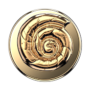 Enamel Nautilus Shell &mdash; MagSafe PopGrip image number 2