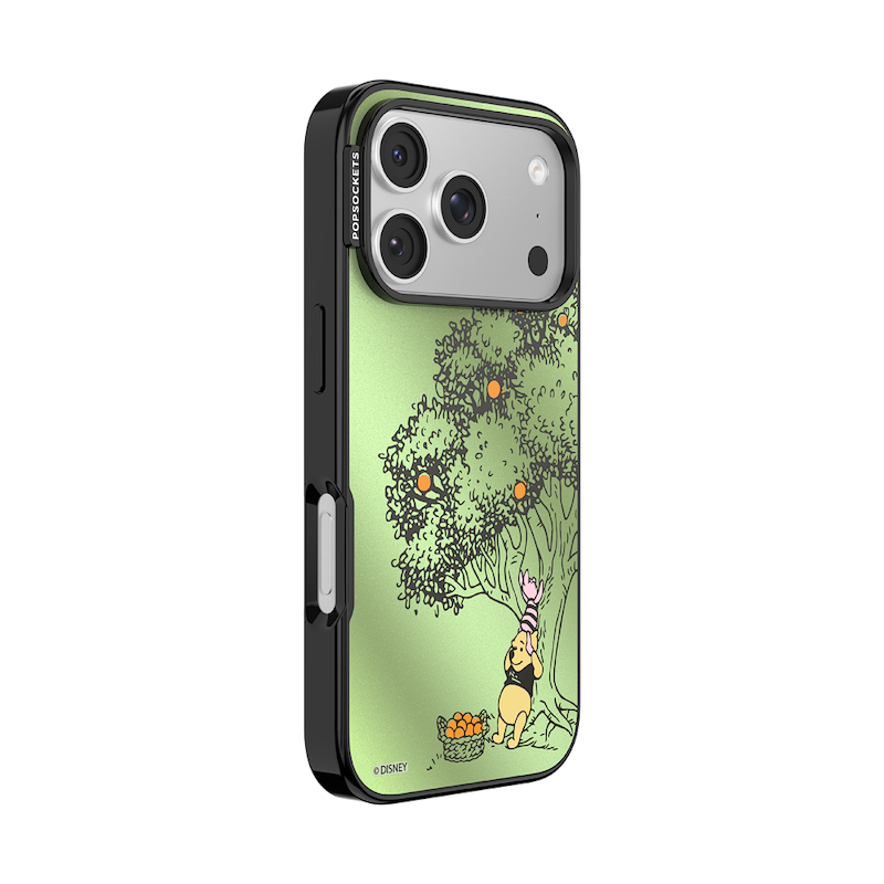 100 Acre Wood &mdash; iPhone 17 Pro MagSafe Case image number 1