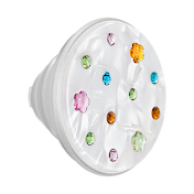 Acetate Prima Ballerina &mdash;  PopTop image number 1