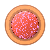 Aluminum Clay Speckle &mdash; MagSafe PopGrip image number 3