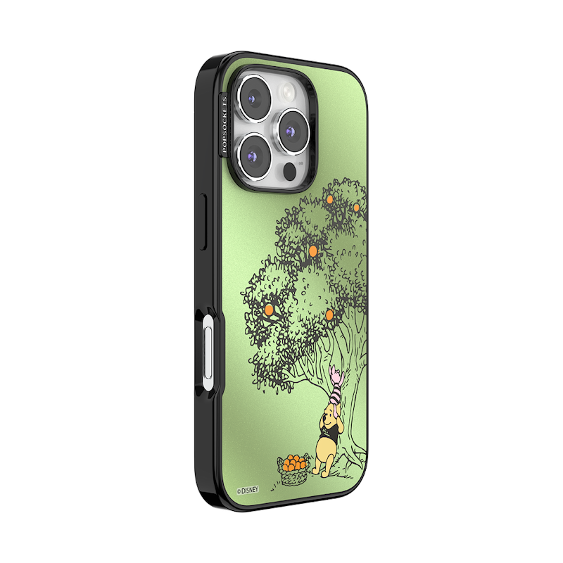 100 Acre Wood &mdash; iPhone 16 Pro MagSafe Case image number 1