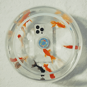 Koi Pond &mdash; MagSafe PopGrip image number 3