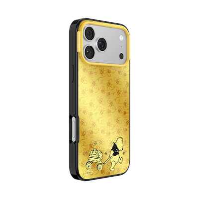 Secondary image for hover The Honey Division &mdash; iPhone 17 Pro Max MagSafe Case