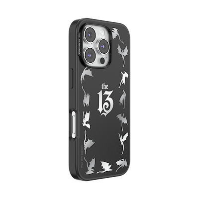 Secondary image for hover Mirror The 13 — iPhone 16 Pro MagSafe Case