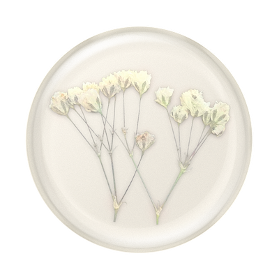 Secondary image for hover Pressed Flower Baby's Breath — Adhesive PopGrip