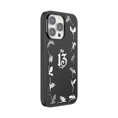 Secondary image for hover Mirror The 13 &mdash; iPhone 13 Pro MagSafe Case