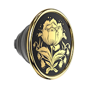 Enamel Rose Noir &mdash; PopTop image number 1