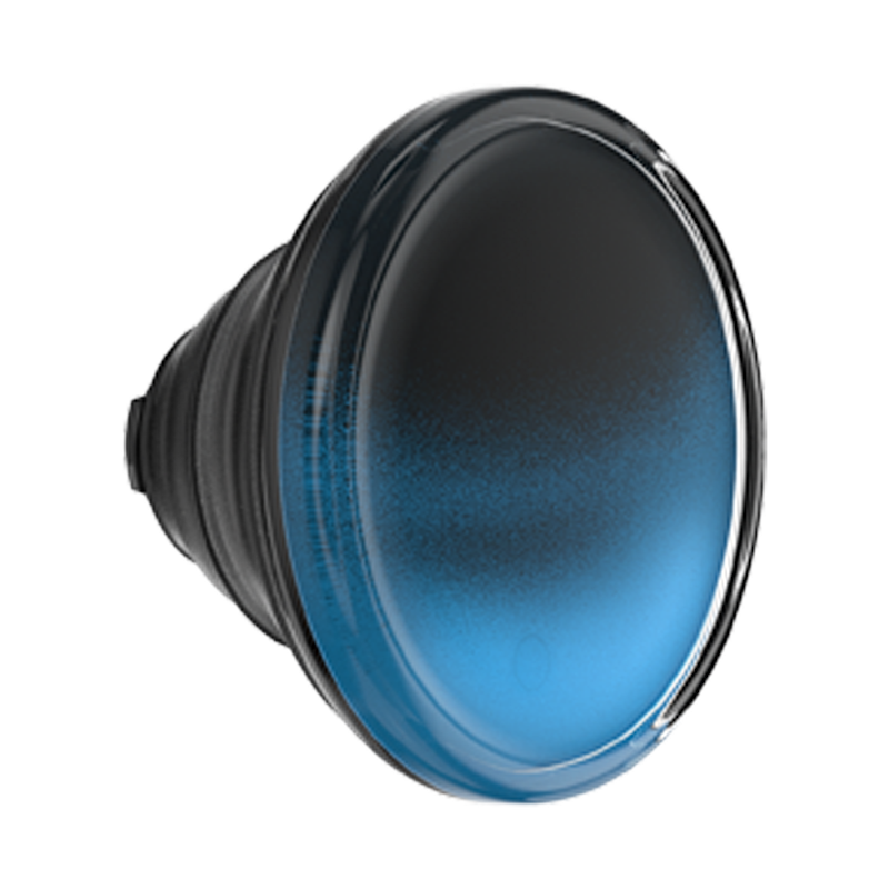 Tidepool Night Tide — PopTop