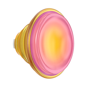 Jelly Sunni B &mdash; PopTop image number 1